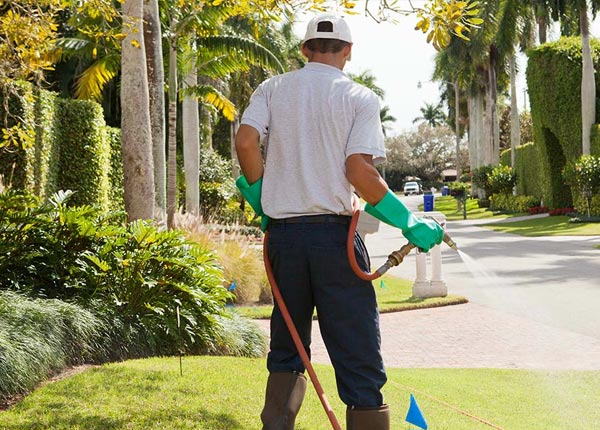 About Bridgeport IL Pest Control
